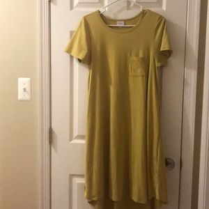 LulaRoe Carly dress